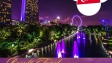 Togel Singapore